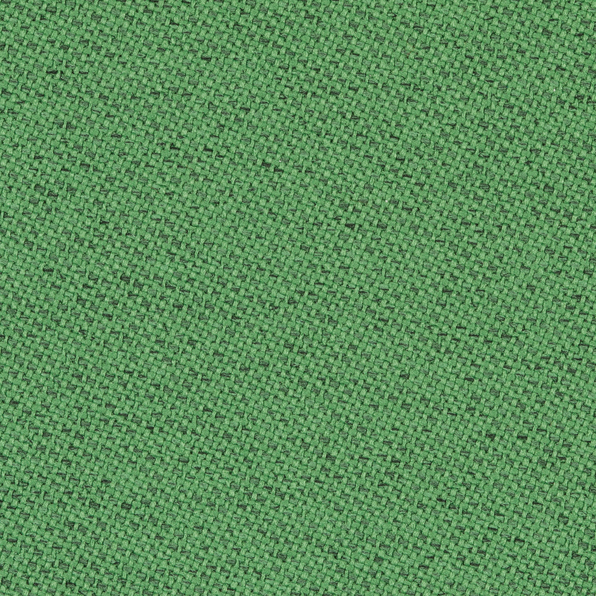 Green Lichen 68193