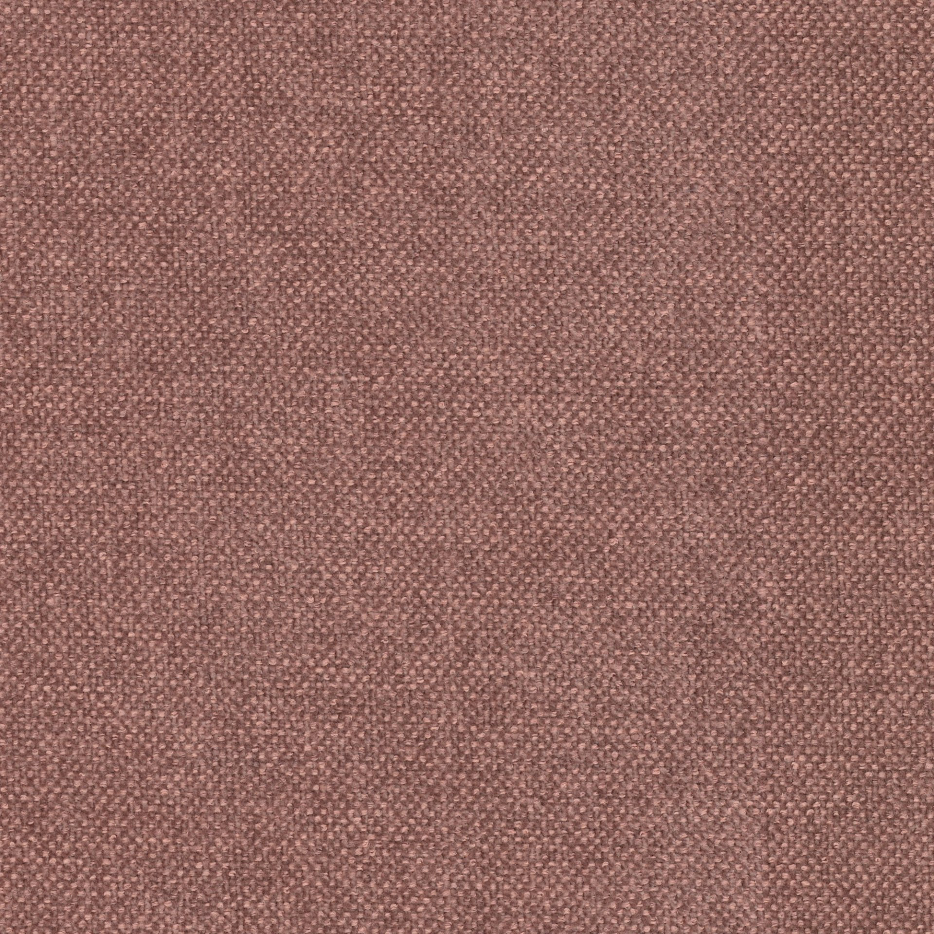 1879 Bois de Rose