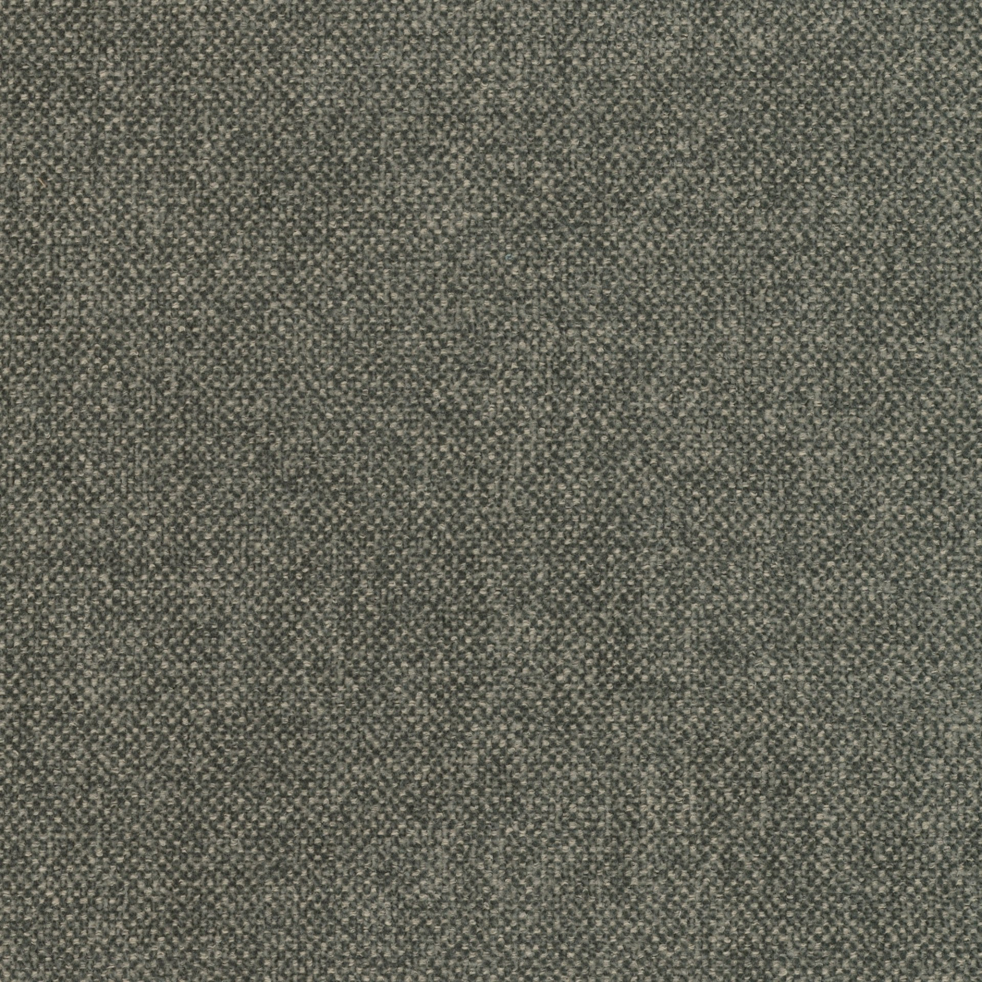 1882 Gris Romarin